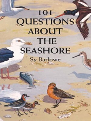 cover image of 101 Questions About the Seashore